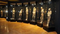 Museum ini menyimpan sekitar 111 mumi asli. Maka selama di dalam museum, sejauh mata memandang akan terlihat mumi dengan berbagai ukuran. Hii! (Museo de las Momias de Guanajuato Oficial/ Facebook)