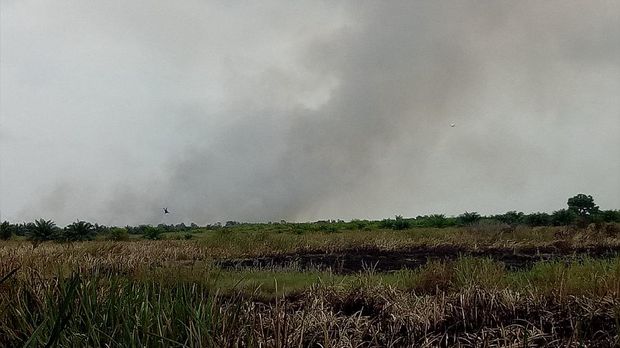 Polisi Tangkap Satu Terduga Pelaku Pembakaran Hutan di Ogan Ilir