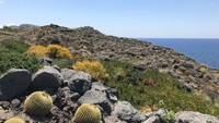 Orang-orang berduit hingga bangsawan sering ke Pulau Sicily dengan kapal pesiar (Dok. CNN Travel)