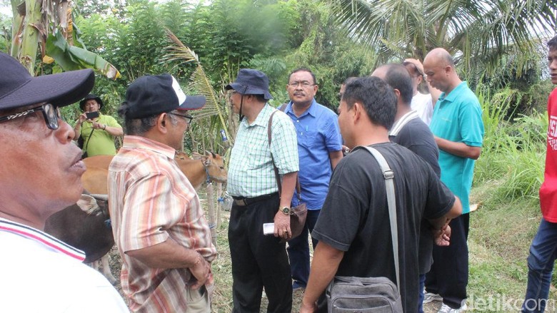 Kementan Minta Dibuat Penitipan Ternak untuk Pengungsi Gunung Agung Kementan Minta Dibuat Penitipan Ternak untuk Pengungsi Gunung Agung