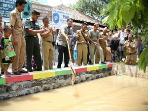 Parit di Kota Semarang Disulap Jadi Tempat Pembibitan Ikan