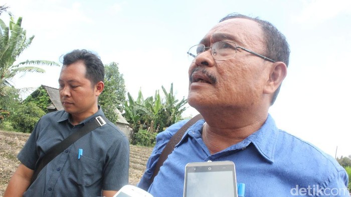 40 Ribu Sapi Warga Gunung Agung Terancam, Pemkab Siapkan Penitipan