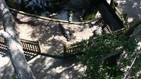 Wisatawan yang berani mencoba wahana ini akan meluncur di atas lahan yang luasnya sekitar 7 acre (Alligator Farm)