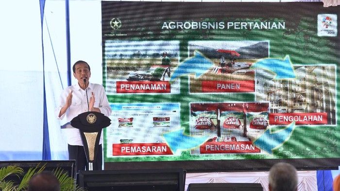 Jokowi ke Petani: Jangan Hanya Produksi, Kuasai Juga Bisnisnya