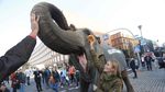 Gajah Turun di Jalan Saat Pemilu Kanselir Jerman, Ada Apa?