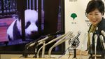 Xiang Xiang, Bayi Panda Lucu yang Mencuri Perhatian di Jepang