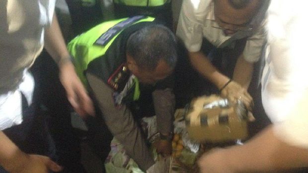 Jeruk diletakkan di bagian atas keranjang untuk menutupi ganja
