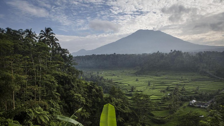 20 Ide Gambar Sketsa Bencana Alam Gunung Meletus  Tea 