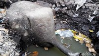 Menurut warga, mata air di Umbul Buto memang masih hidup, tetapi tertutup sedimen tanah.