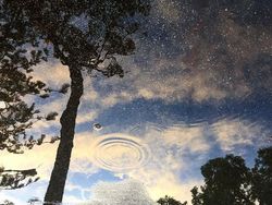 Deretan Foto Mengejutkan yang Menipu Mata