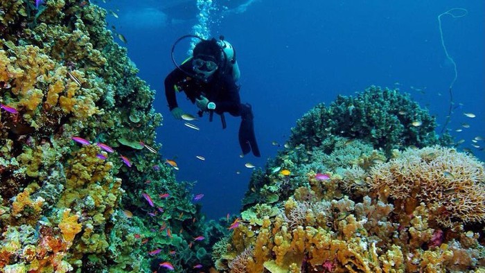 Teluk Tomini di Kabupaten Parigi Moutong, Sulawesi Tengah