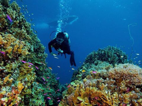 'Surga' Tenggelam di Sulteng akan Dipetakan Potensi Wisatanya