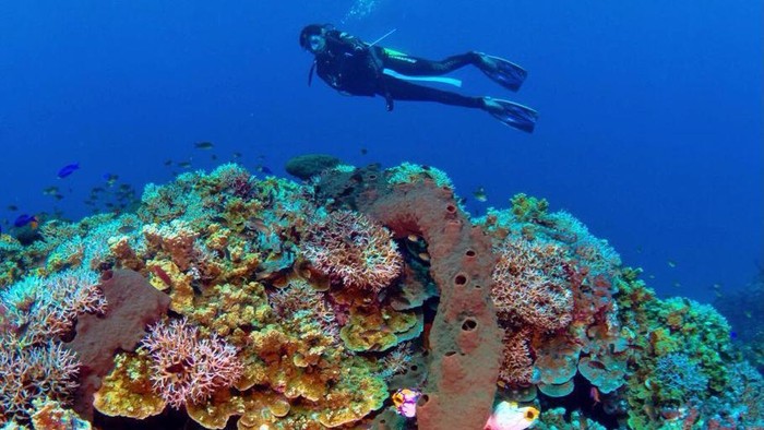 Teluk Tomini di Kabupaten Parigi Moutong, Sulawesi Tengah