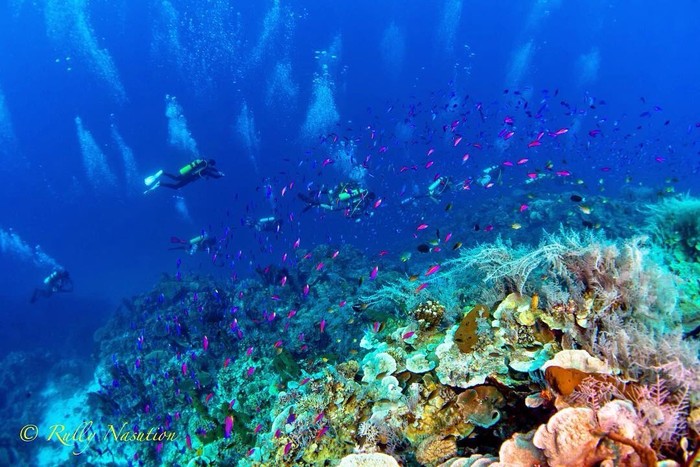 Teluk Tomini di Kabupaten Parigi Moutong, Sulawesi Tengah