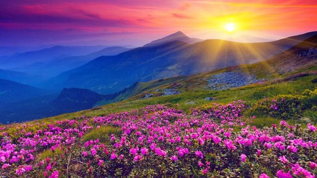 Valley of Flowers