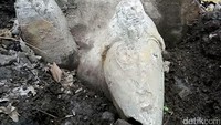 Dasar Umbul kini tak ditutupi air lagi dan telah tertutup sedimen tanah dan material bangunan.