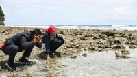 Imam Nahrawi dan istri, Shobibah Rohman, membasuh muka dengan air laut di Pulau Miangas, yang terletak di ujung atas Indonesia, merupakan pulau terdepan yang berbatasan langsung dengan Mindanao-Filipina yang berjarak hanya sekitar 92 kilometer. Dengan kapal laut, perjalanan ke Filipina Selatan bisa ditempuh dalam 3 jam, sementara ke arah ibukota provinsi, Manado, bisa mencapai belasan jam di atas laut.