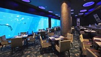 Ocean Restaurant ini ternyata jadi satu-satunya restoran dengan pemandangan bawah laut cantik di Singapura. Ada di kawasan Resorts World Sentosa SIngapore, Anda bisa menikmati makanan enak dari chef ternama yaitu Cat Cora sambil menikmati pemandangan ragam ikan mulai dari ikan pari hingga hiu. Foto: Istimewa