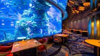 Al Mahara ialah restoran mewah yang dilengkapi dengan akuarium terbesar ini ada di Dubai. Di lantai 1 Burj Al Arab Jumeirah Anda bisa menikmati sajian makanan sambil melihat karang dan ikan-ikan yang cantik. Dan ini jadi salah satu restoran paling romantis lho di Dubai. Foto: Istimewa