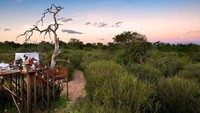 Konsep penginapannya pun terbilang tidak biasa. Traveler bisa menginap di atas ketinggian, tanpa atap, dengan pemandangan safari khas Afrika Selatan (Lion Sands)