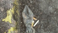 Kalau dilihat dari jauh tampak seperti sampah plastik biasa di jalanan umum. Tapi begitu dilihat dari dekat ternyata kondom bekas! (Foto: instagram/chloehaggag)