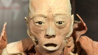 Satu pameran berjudul The Body Exhibit yang dilakukan di beberapa daerah di dunia, mempertunjukkan bagian tubuh manusia yang utuh tanpa kulit, yang dibekukan dalam gerakan sehari-hari. Foto: instagram @in_pictore_