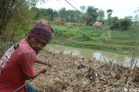 gotong royong membangun jembatan