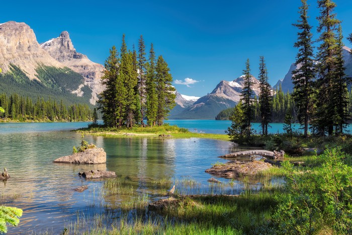 Jasper National Park taman nasional
