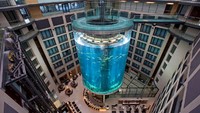 Walaupun tak dikelilingi oleh akuarium besar, tapi di Atrium Bar, Belrin, Jerman ini ada tabung yang sangat tinggi dan berisi banyak jenis ikan. Warnanya biru dan cantik sehingga sangat indah dan nyaman. Foto: Istimewa