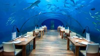 Ithaa Undersea Restaurant ini berada di 16 kaki dibawah dasar laut tepatnya di Conrad Maldives. Sambil menikmati makanan, Anda pun bisa melihat ikan hiu, paus hingga ikan laut kecil diatas kepala Anda. Wow, Amazing! Foto: Istimewa