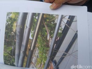 Puluhan Kabel FO di Semarang Dirusak Pelaku Vandalisme