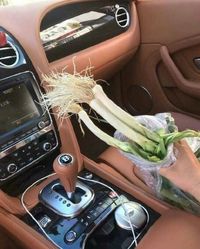 Tabrakan dengan Mobil Bentley Tukang Sayur Ini Ganti Rugi Pakai Daun Bawang