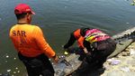 Buaya yang Sempat Bikin Kaget dan Ditembak Polisi