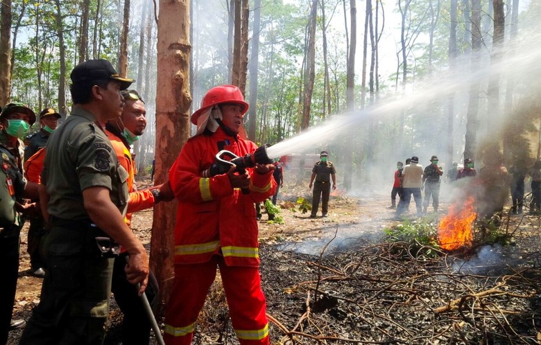 Warga di Kawasan Hutan di Bondowoso Berlatih Padamkan Kebakaran Warga di Kawasan Hutan di Bondowoso Berlatih Padamkan Kebakaran