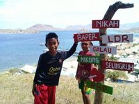 Saat Komodo Galau