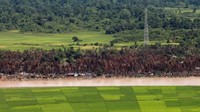 Tidak ada sedikitpun bangunan yang tersisa. Hanya bekas kebakaran yang dikelilingi pohon-pohon yang hangus (Soe Zeya Tun/Reuters)