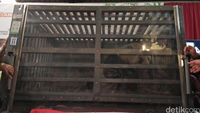 Giant panda dari China tiba di Indonesia / 