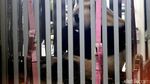Foto: Ni Hao! 2 Panda Lucu China Mendarat di Jakarta