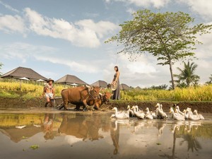 Ini Alasan Kenapa Bali Jadi Surga Para Digital Nomad