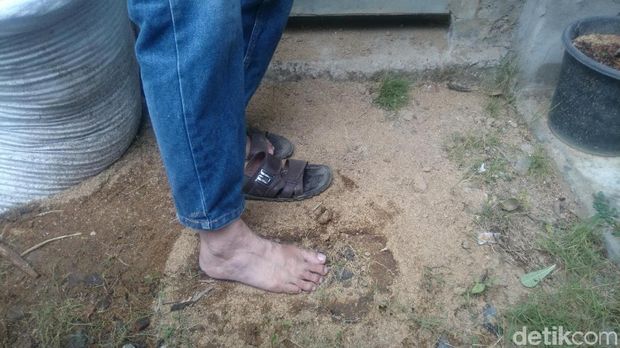 Diyakini Rumah 'Bigfoot' Magelang di Balik Rerimbunan Pohon Mojo