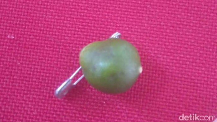 Mau LuLus Tes CPNS, Banyak Peserta Ujian Bawa Jimat