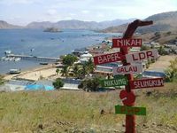 Saat Komodo Galau