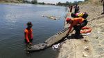 Buaya yang Sempat Bikin Kaget dan Ditembak Polisi