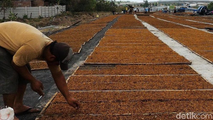 Pengusaha Sebut Regulasi Ini Hambat Paket Kebijakan Ekonomi