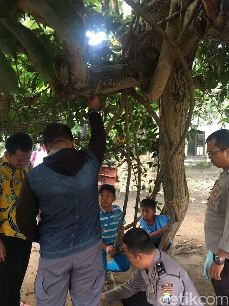 Seorang Kakek di Jember Gantung  Diri di Pohon  Waru