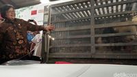 Giant panda dari China tiba di Indonesia / 