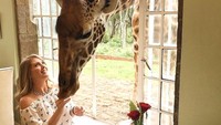 Bertolak ke Nairobi, Kenya, kamu harus coba hotel yang satu ini. Menginap ditemani jerapah-jerapah lucu! (Instagram/_travelnation_)