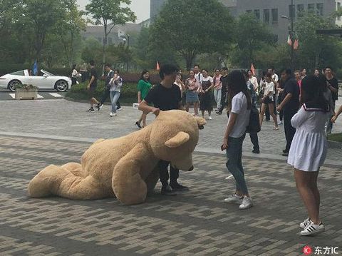 Viral, Pria Tajir  'Nembak' Cewek dengan Bawa Boneka Raksasa Tapi Ditolak