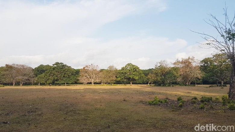 4 Pemburu Rusa Di Ujung Kulon Tersangka Kombes B Ditangani