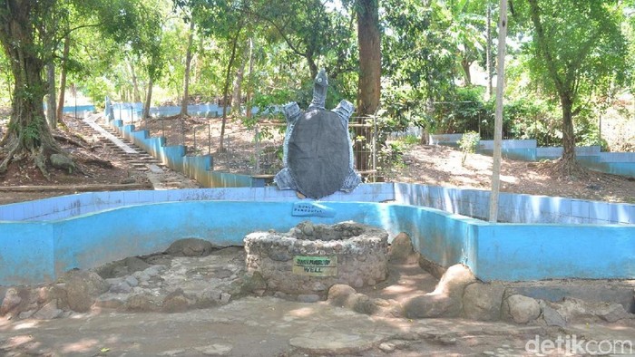 kura-kura